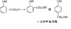 澳宝典大全