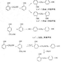 澳宝典大全